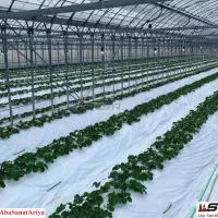 گلخانه سازی|خدمات پیشه و مهارت|تهران, شهرک صادقیه|دیوار