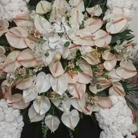 سبد گل تاج گل ترحیم تبریک درسایزمختلف ارسال رایگان