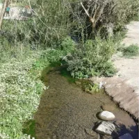 زمین محمدآباد مسکون