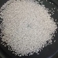 برنج هاشمی درجه ۱ اصل|خوردنی و آشامیدنی|توتکابن, |دیوار