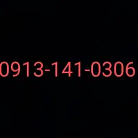 0913-141-0306