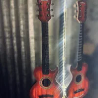 یک عدد گیتار نو