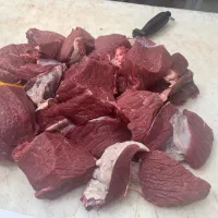 به یک نیروی مرغ کار نیازمندیم