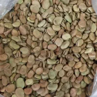 باقاله خشک فسا خوشمزه