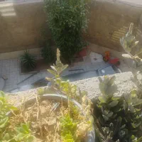 رهن و اجاره منزل 150متری