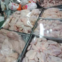 مرغ و ماهی کار ماهر