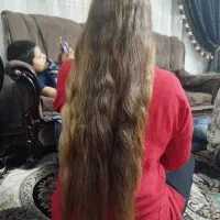 بیش از هزار تا خرید مو