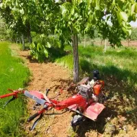 خدمات باغبانی درختکاری وتیلر...