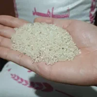 سرلاشه ی اعلائ درجه یک طارم فجرگلستان