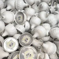 لامپ با یک سال گارانتی|لامپ و چراغ|پارس‌آباد, |دیوار