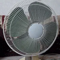 پنکه