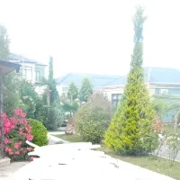 نضافت