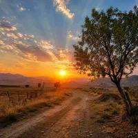 راهنمایی