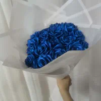 گل روبانی