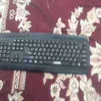فقد میخام بفرشمش