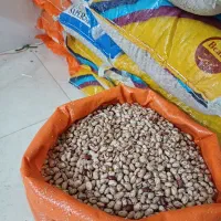 لوبیا چیتی|خوردنی و آشامیدنی|سردشت, |دیوار