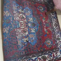 دو تخته قالی دست باف برای فروش