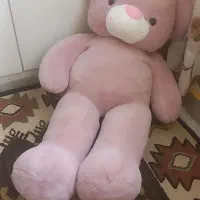 عروسک پولیشی