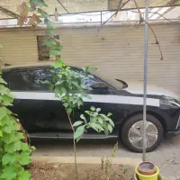 لاماری هیبرید مشکی صفر سند ۱۴۰۵