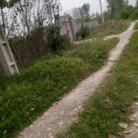 زمین ۴۵۵ متری طلا در قلب سنگر|فروش زمین و ملک کلنگی|رشت, آب و برق|دیوار