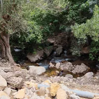تور یک روزه تنگ گردو کنک|تور و چارتر|شیراز, باباکوهی|دیوار