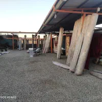 قالیشویی الوند|خدمات نظافت|قنوات, |دیوار