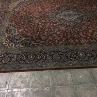 فرش ۱۲ متری تراکم بالا|فرش|تهران, فلسطین (میدان انقلاب)|دیوار