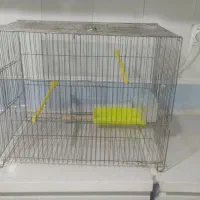 قفس قناری|لوازم جانبی حیوانات|اردبیل, |دیوار