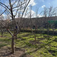 ویلا دوبلکس هروی ۲۰۰۰ متر