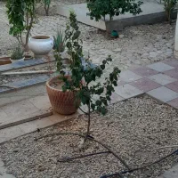 باغ ویلا با استخر سرپوشیده آب گرم