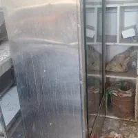 دستگاه پاچینی ۶سیخ