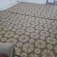 دوتا گلیم فرش بدون پارگی