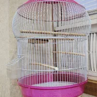 قفس پرنده ساخت چین