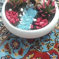 فروش دیش گاردن