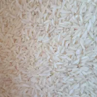 برنج هاشمی محصول گیلان