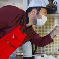 تضمین نابودی سوسک کابینتی و فاضلاب، سم پاشی و فروش