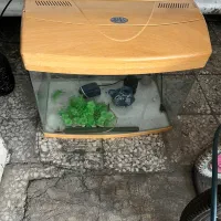 آکواریوم با وسایل|ماهی|تهران, آهنگران (سراسیاب دولاب)|دیوار