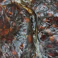 خرما بریحی درجه یک|خوردنی و آشامیدنی|برازجان, |دیوار