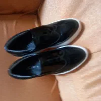 کفش|کیف، کفش، کمربند|اردبیل, |دیوار