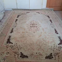 فرش ۶متری|فرش|زنجان, |دیوار