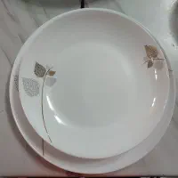 سرویسآرکوپال|ظروف سرو و پذیرایی|قم, نیروگاه|دیوار