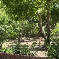 زمین ۲۰۰متری لواسان صحرای ناران