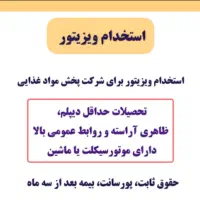 ویزیتور (بازاریاب مواد غذایی)