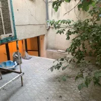 اجاره/75 متری /حیاط دار/سرویس داخل