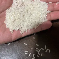 برنج ایرانی به قیمت عمده