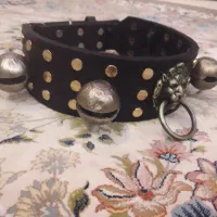 قلاده سگ چرم