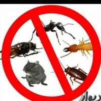 سمپاشی منزل تخصیصی و تضمینی صدرصد