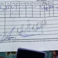 گوشواره حلقه ای