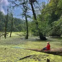 آفر تور دریوک