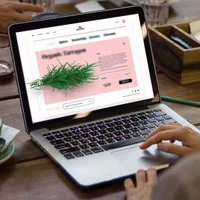 آموزش و استخدام طراحی سایت با مدرک فنی